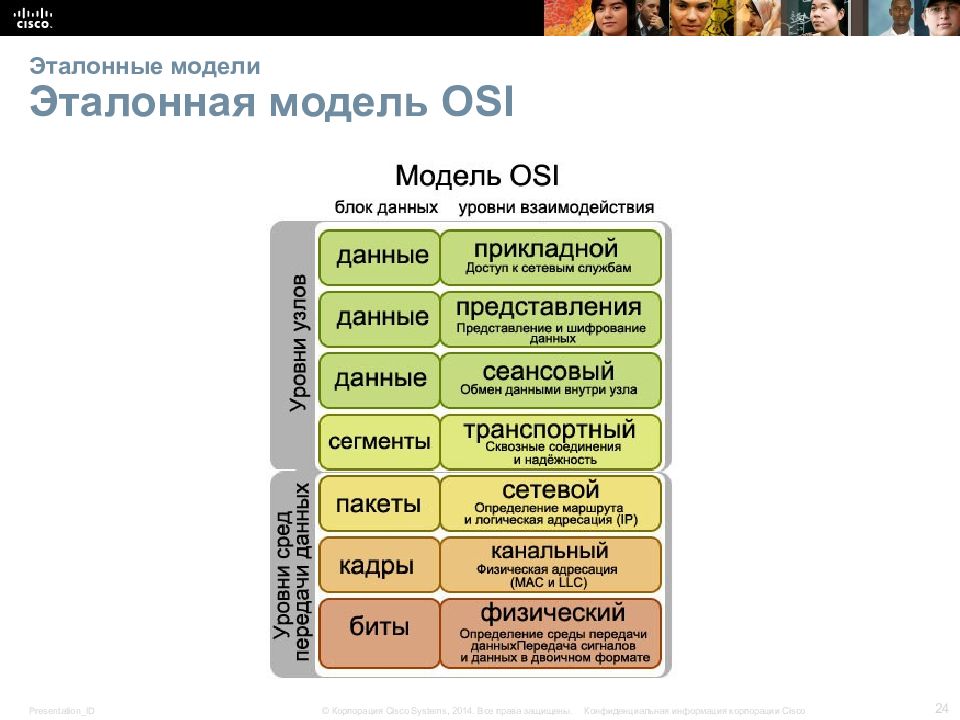 Эталонная модель данных