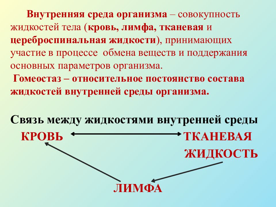 Внутренняя среда организма картинки