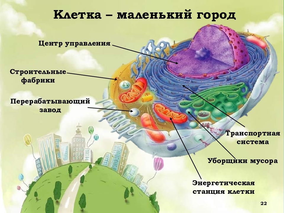 Интересные презентации по биологии 5 класс