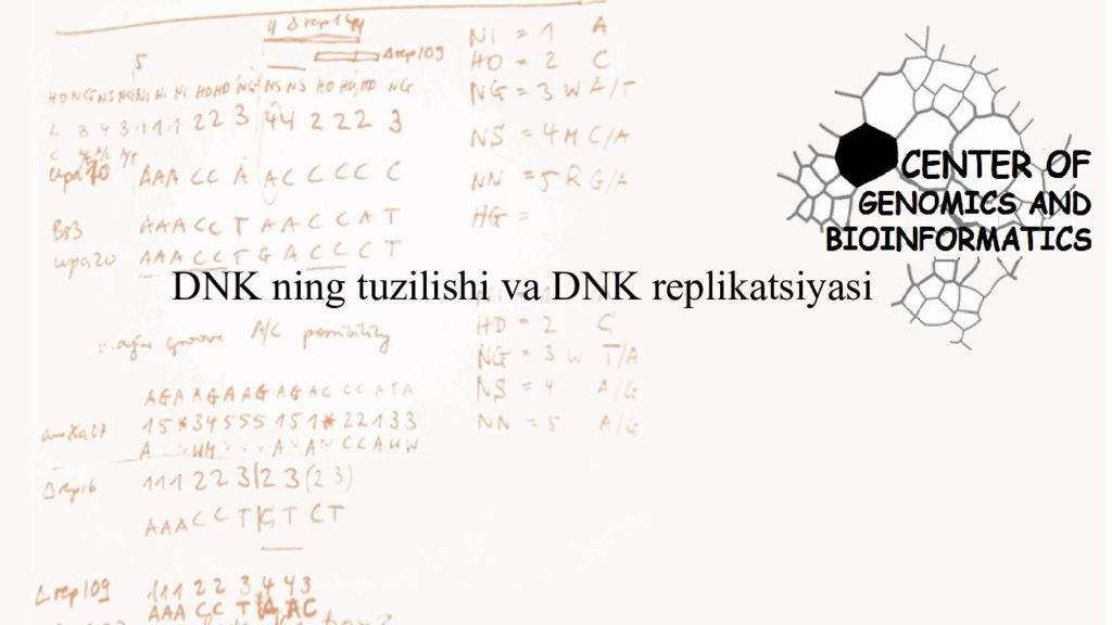 DNK ning tuzilishi va DNK replikatsiyasi DNK ning tuzilishi va DNK replikatsiyasi