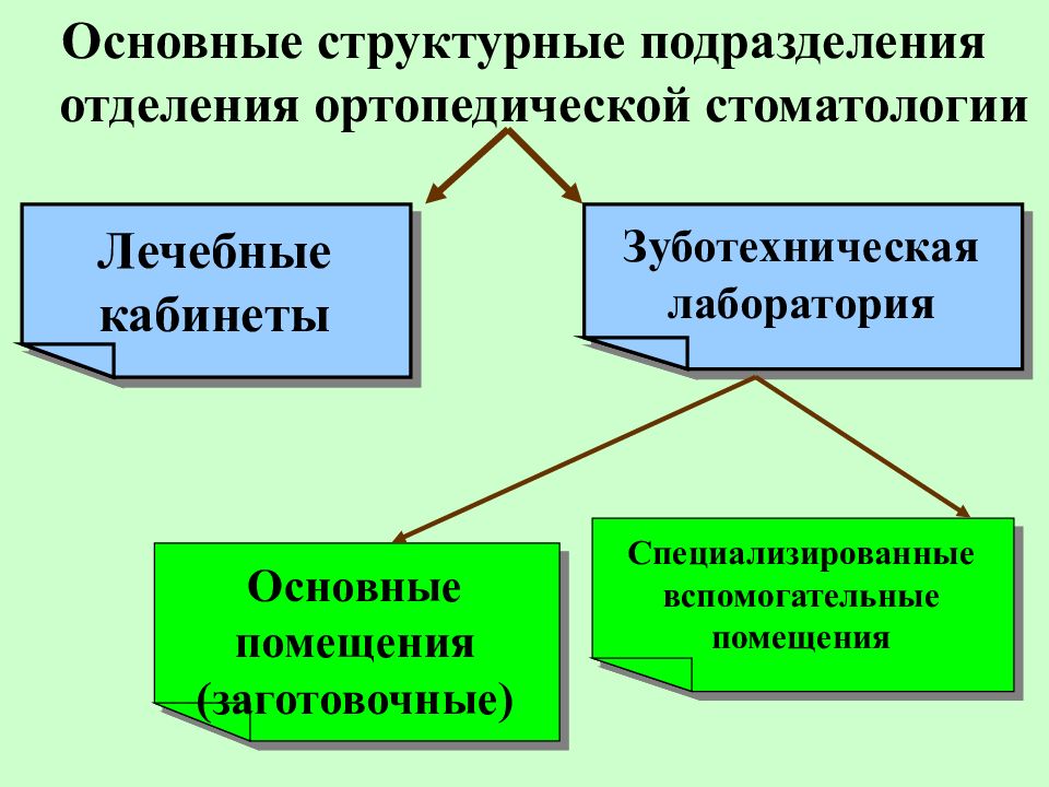 Подразделение отделение. Структура ортопедического отделения. Структурные подразделения отделения ортопедической стоматологии. Структура ортопедического отделения стоматологической поликлиники. Структура ортопедической стоматологии.