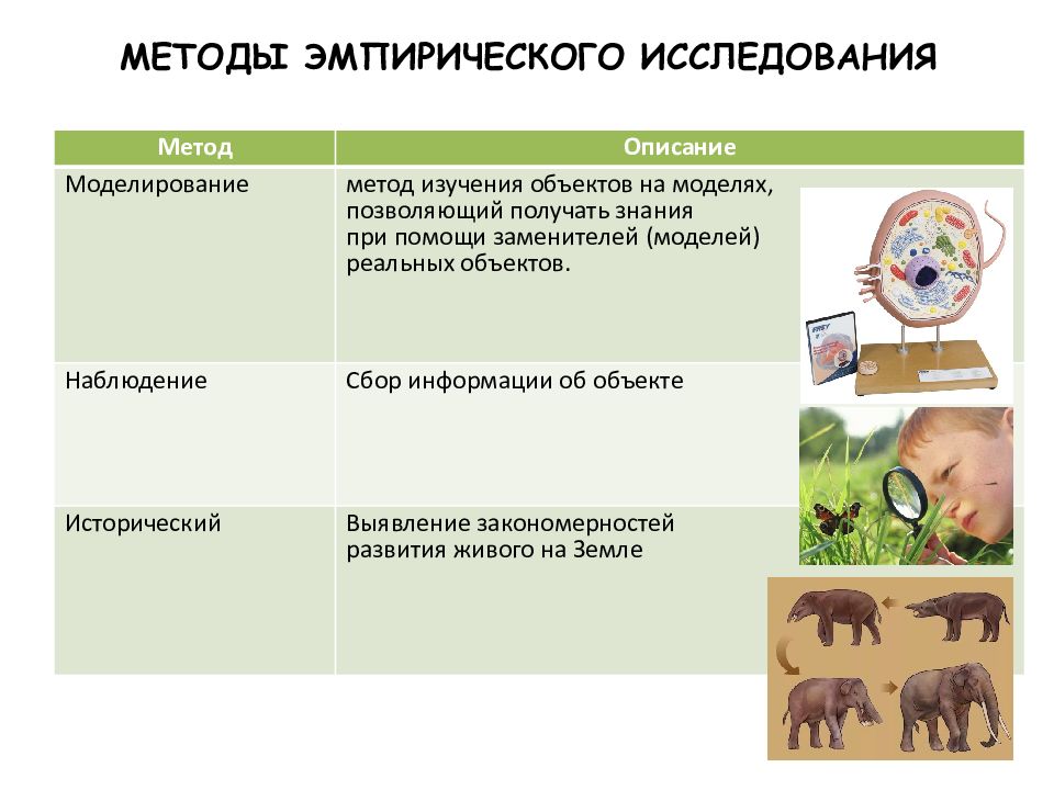 Признаки биологии 5