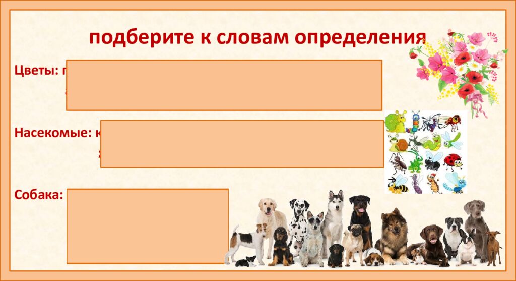 п одберите к словам определения