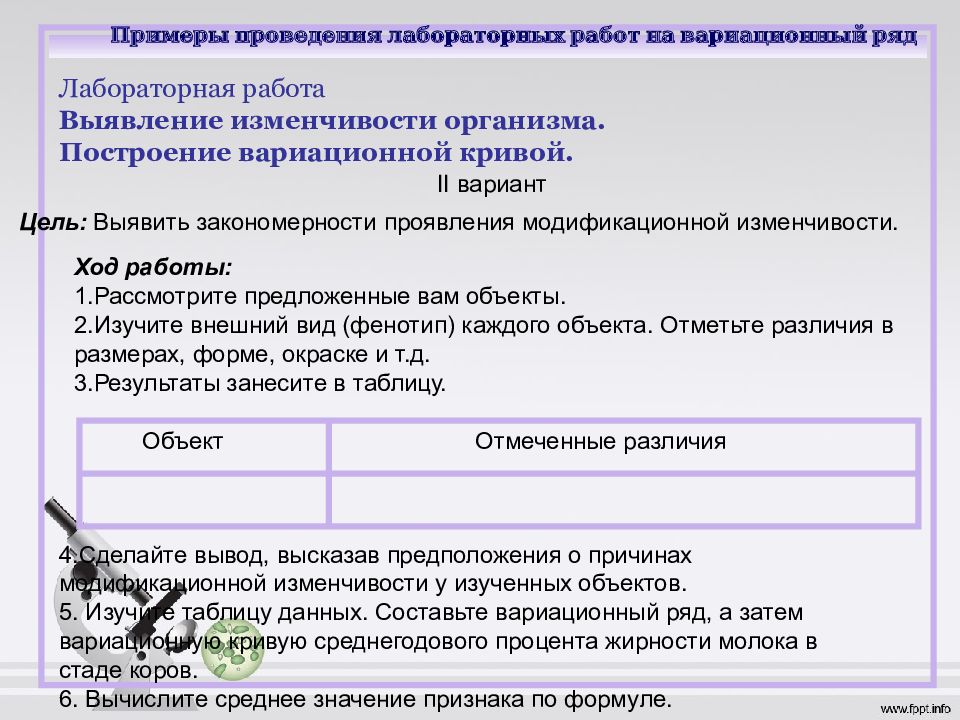 Закономерности изменчивости 11 класс презентация пасечник