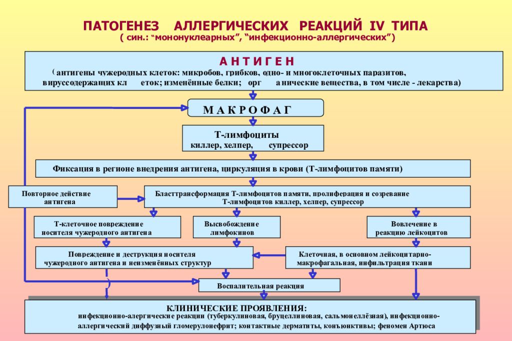 Свойства патогенеза