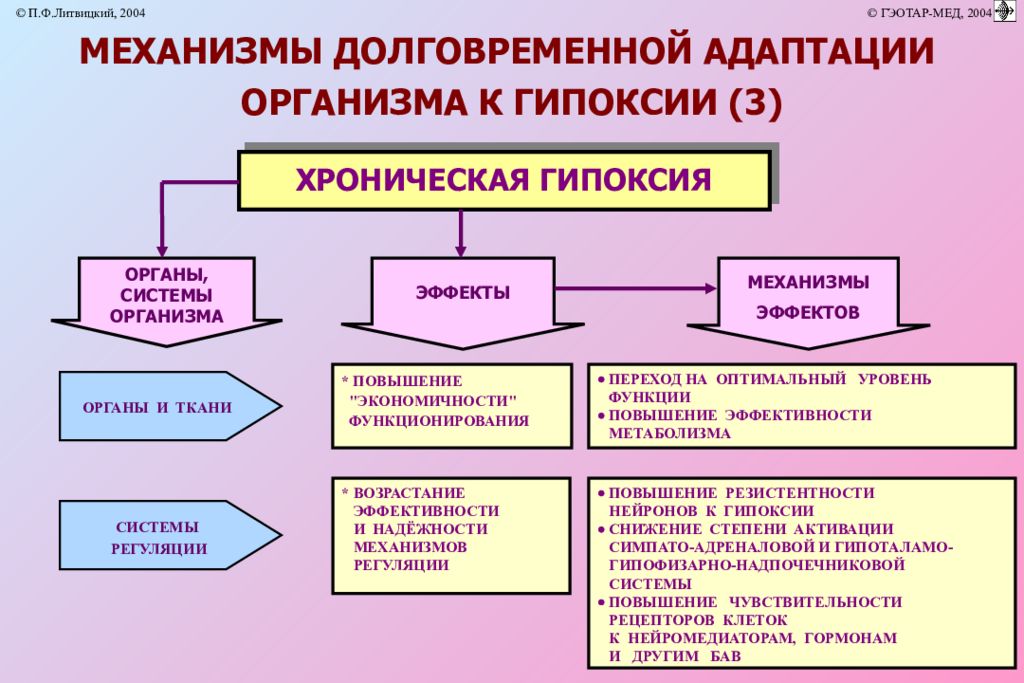 Роль гипоксии. Механизмы адаптации организма к гипоксии. Механизмы долговременной адаптации при хронической гипоксии. Адаптация организма к гипоксии презентация. Гипоксия органов и тканей.