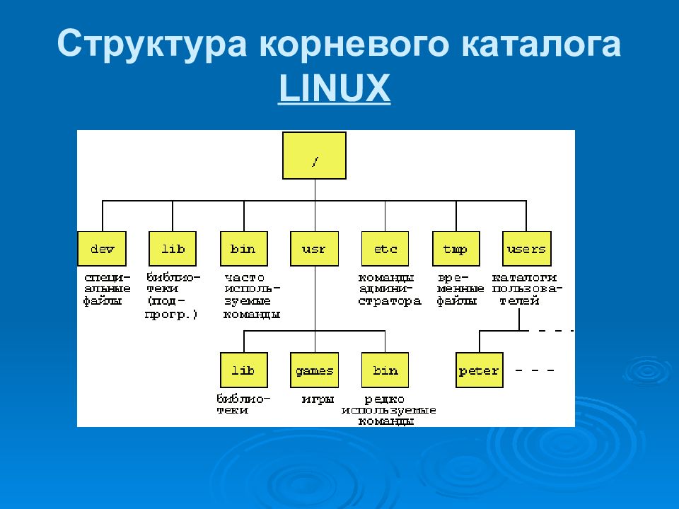 Файловая система linux презентация