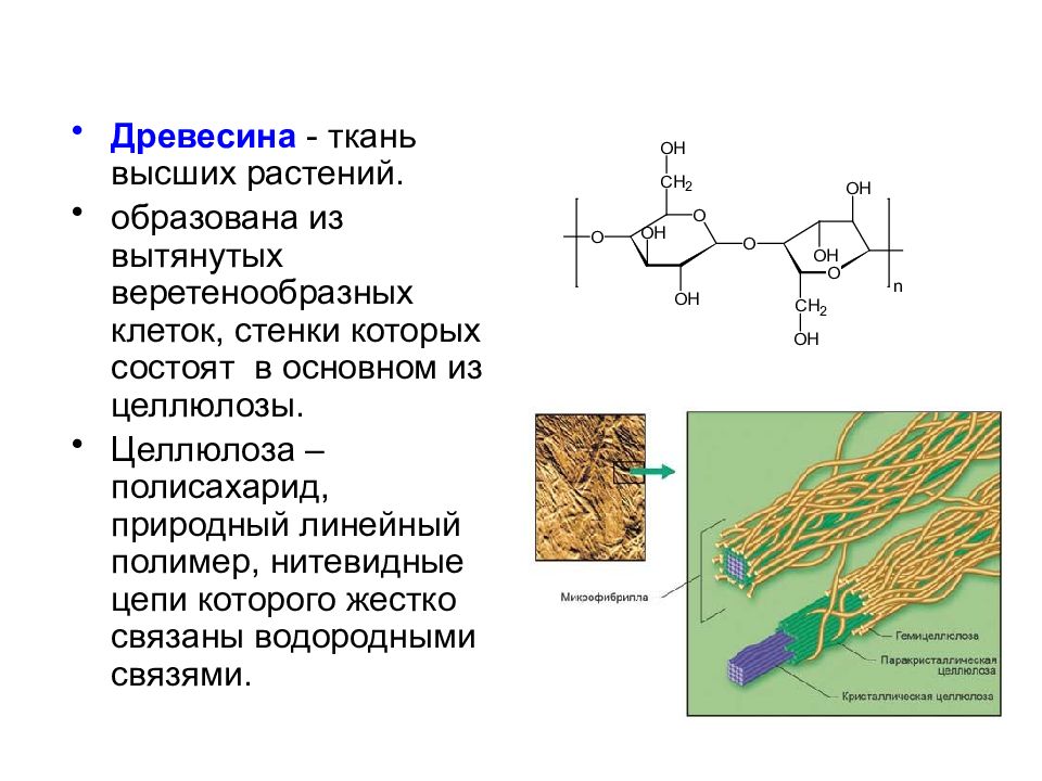 Клеточная стенка состоит из целлюлоза. Целлюлоза линейный полимер. Целлюлоза в клеточной стенке. Целлюлоза образуется из. Клеточная стенка состоит из целлюлозы.