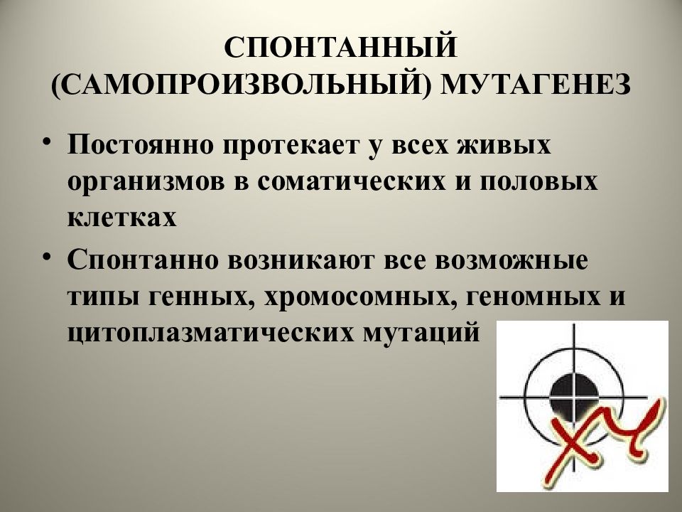 Постоянно протекаю. Самопроизвольный (спонтанный) мутагенез. Спонтанные мутагены. Эндогенные факторы спонтанного мутагенеза. Спонтанный мутагенез и его закономерности.