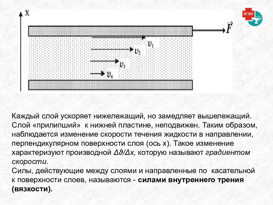 Градиент скорости течения жидкости. Реология жидкости. Поверхностный слой жидкости. Реология порошков.