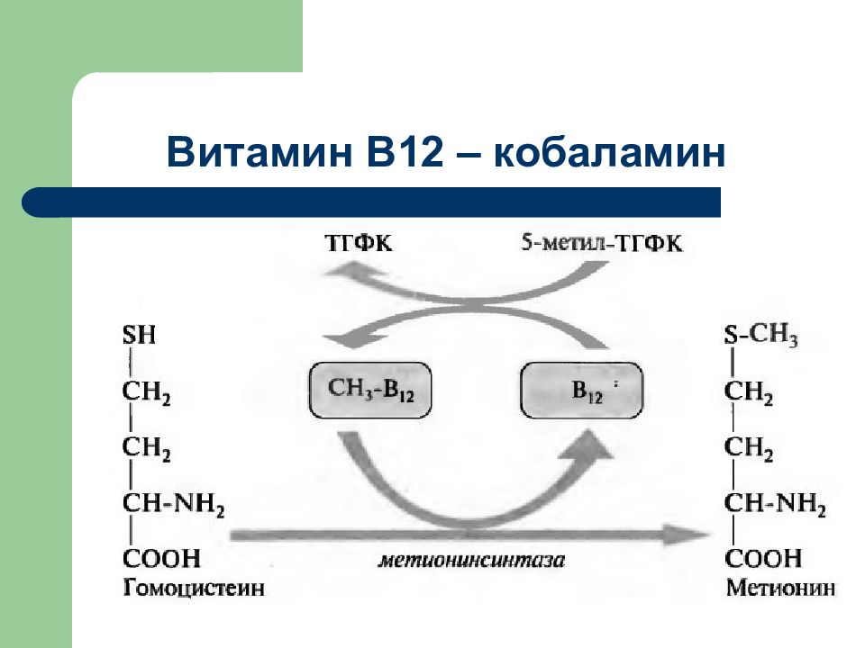 Витамин б12 презентация по химии