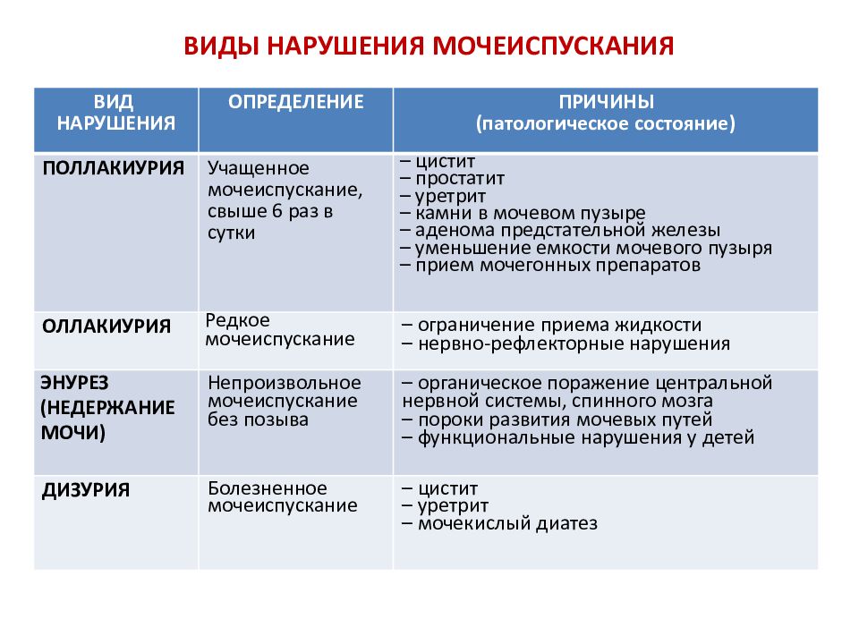 Частое мочеиспускание причины. Нарушение мочеиспускания. Расстройства мочеиспускания виды. Расстройство процесса мочеиспускания. Перечислите основные расстройства мочеиспускания?.