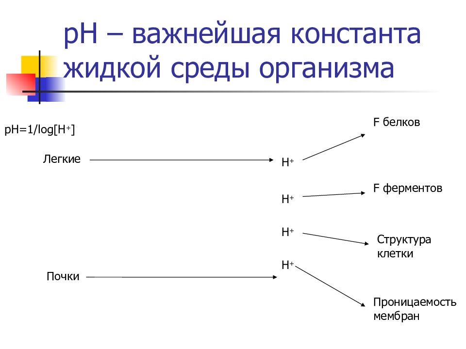 Жидкие среды организма. Основные параметры жидкой среды организма. Кислотно основной гомеостаз параметры. Классификация жидких сред организма. Кислотно-основной гомеостаз это.