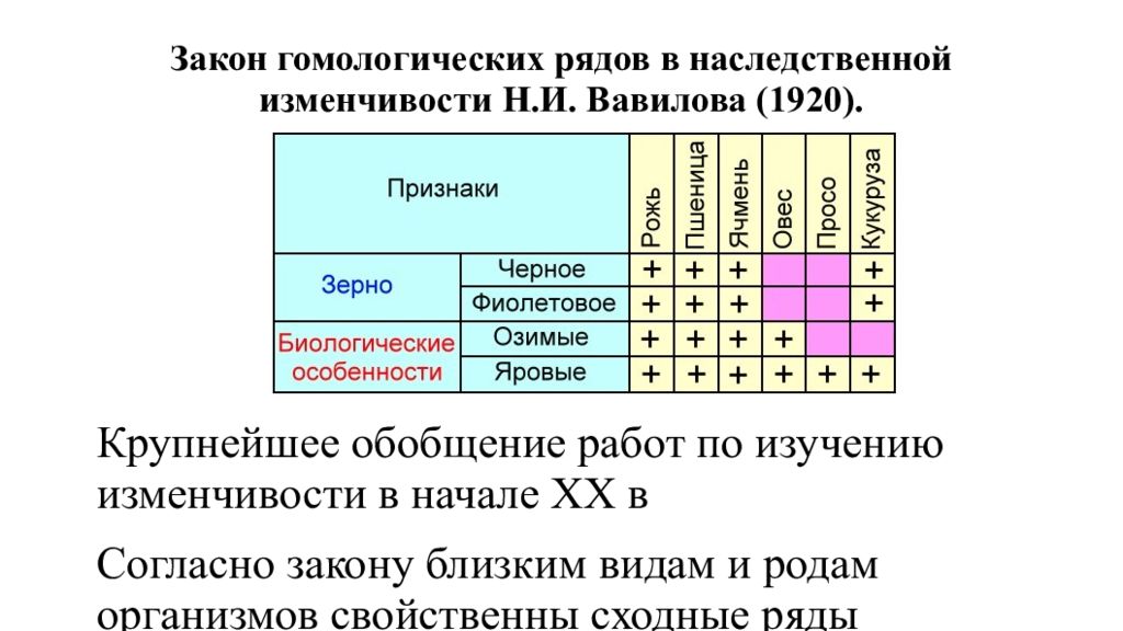 Закон вавилова о гомологических рядах наследственной изменчивости презентация