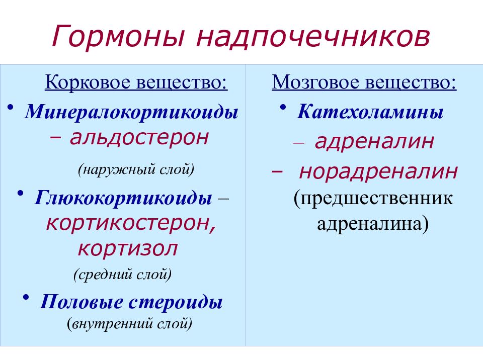 Физиология эндокринной системы презентация