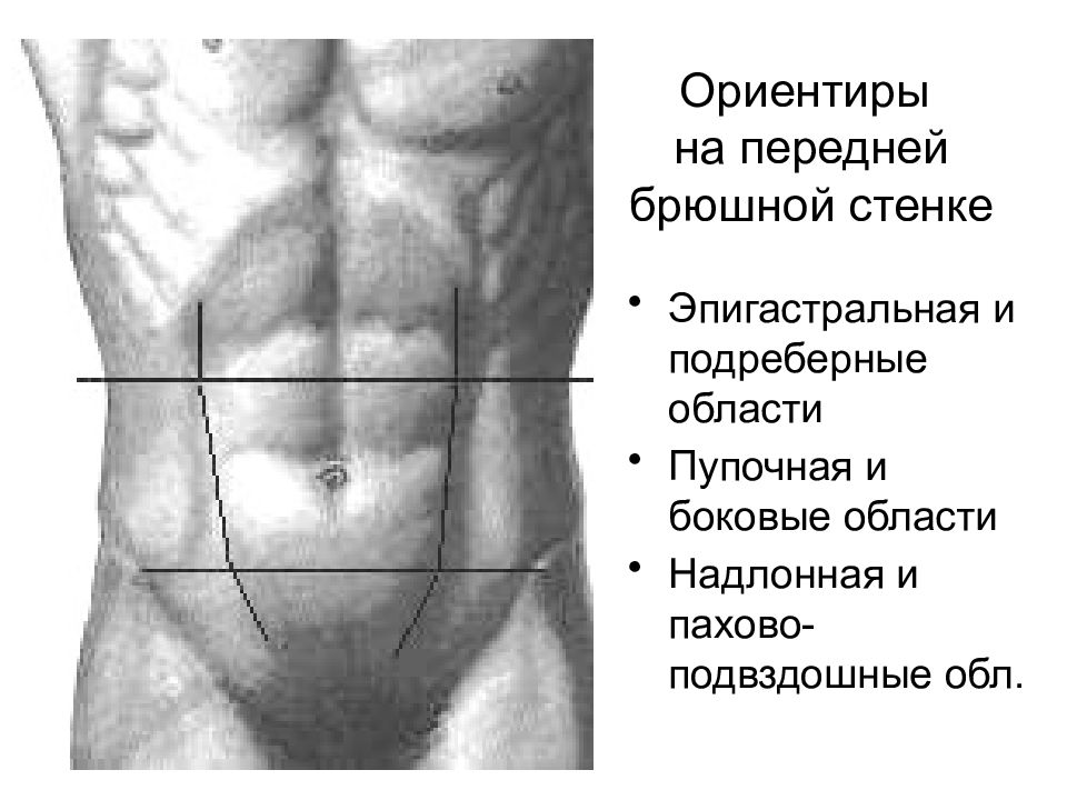 Эпигастральная область органы