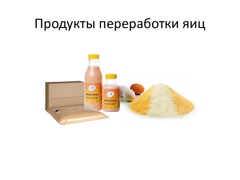 Презентация яйца и яичные продукты товароведение