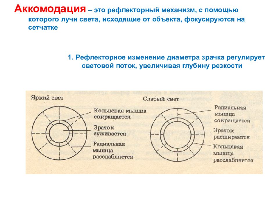 Объект исходить