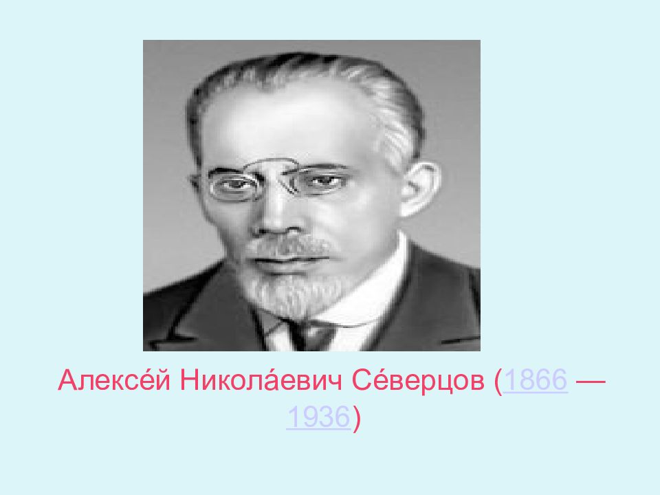 Макроэволюция северцов