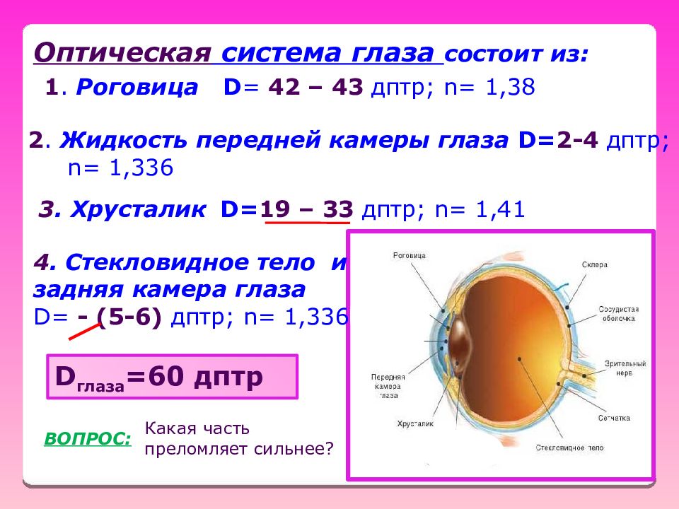 Оптическая глаза. Оптическая сила преломляющего аппарата глаза. Оптическая сила глаза в диоптриях. Оптическая система глаза состоит из. Оптическая сила хрусталика глаза.