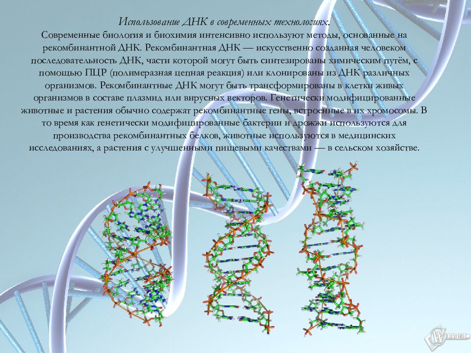 Исследования днк человека надежды и опасения презентация