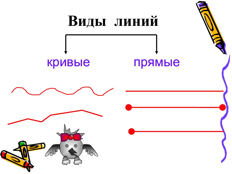 Виды линей. Виды линий. Виды линий в математике. Плакат виды линии. Расскажи о всех видах линий.