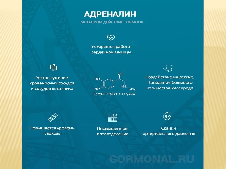 Презентация на тему адреналин