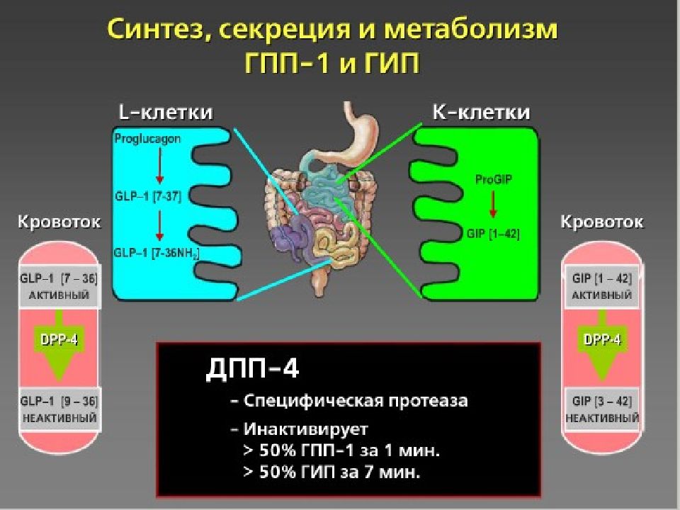 Этиология патогенез диагностика. Этиология патогенез диагностика тени Озон. Бас и экология этиология карта. КСР И КРД физиология.