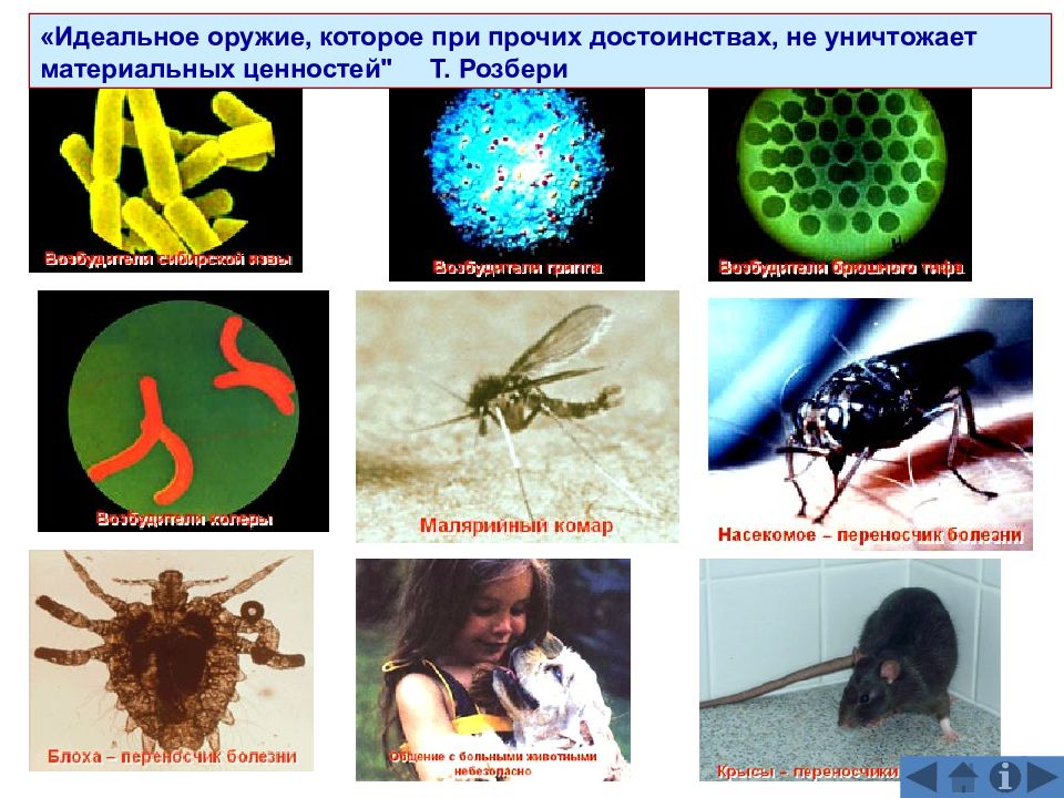 Современные средства поражения и их поражающие факторы презентация