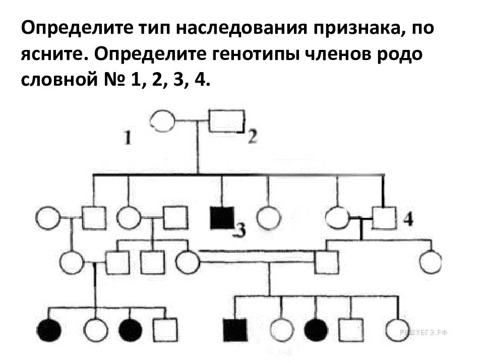 Определите вид наследования. Определите Тип наследования признака по родословной. Тип наследования признаком родословной схемы. Определить Тип наследования признака в родословной схеме. Тип наследования и генотип пробанда.