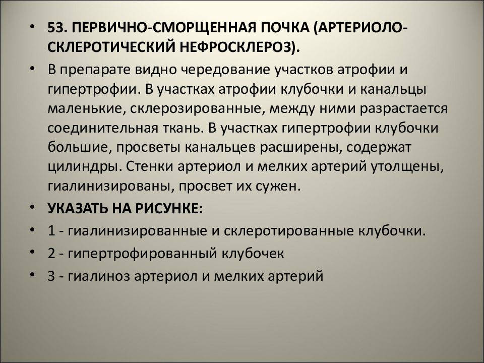 Болезни 15. Склерозированные участки в почке. Первично сморщенная почка синоним.