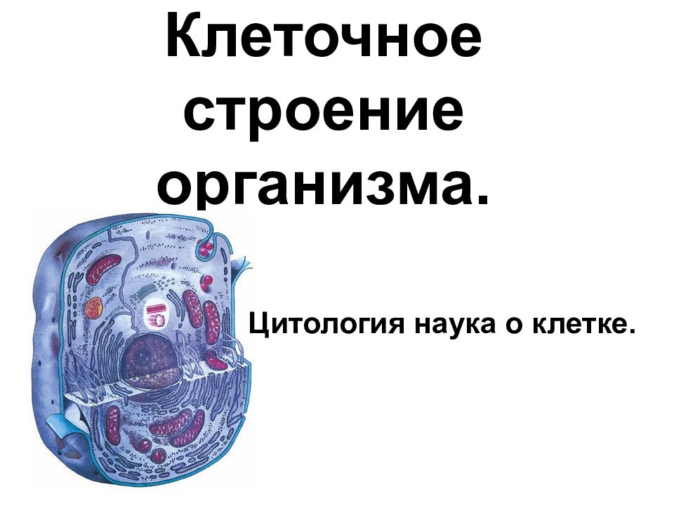 Клеточное строение организма.