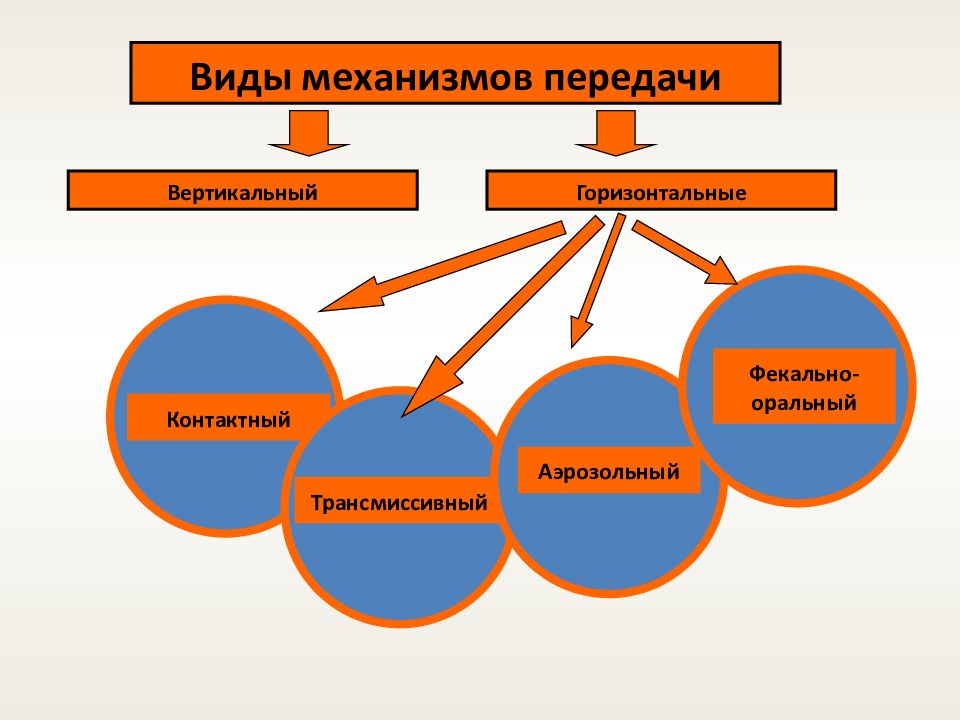 Схема цепочки инфекционного процесса