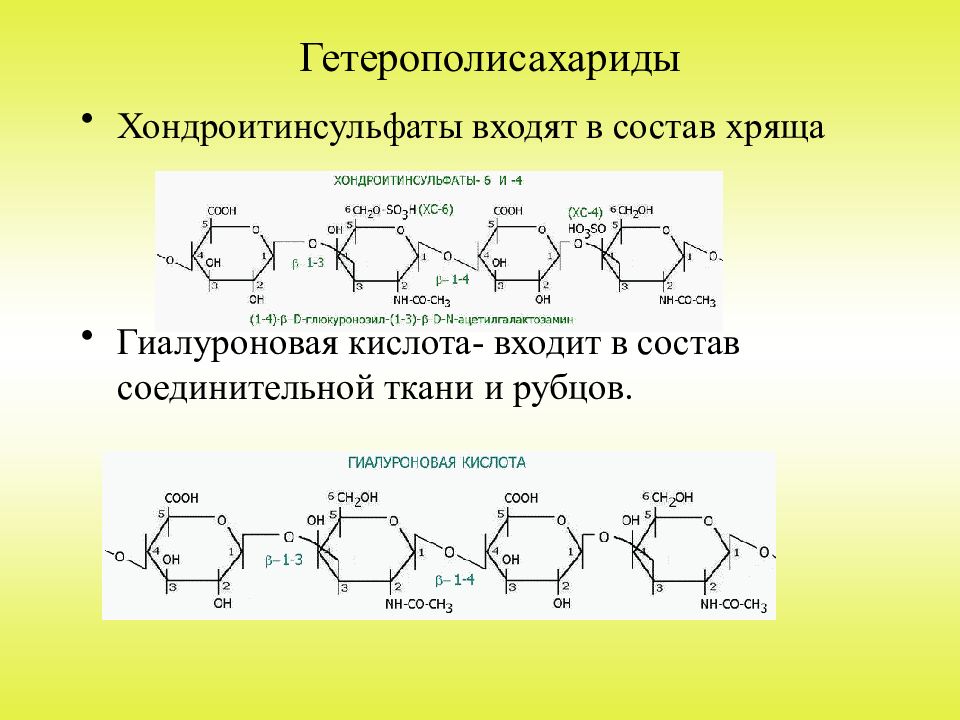 Кислота входящая в состав. Гетерополисахариды гиалуроновая кислота хондроитинсульфаты гепарин. Гетерополисахариды хондроитин сульфат. Гетерополисахариды классификация биохимия. Формулы фрагментов гиалуроновой кислоты хондроитин-6-сульфата.