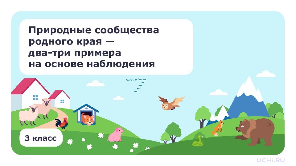 Природные сообщества родного края — два-три примера на основе наблюдения 3 класс
