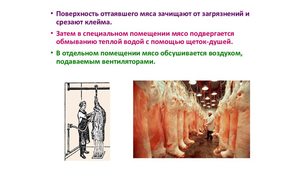 Практическое занятие 1,2. ОРГАНИЗАЦИЯ И ТЕХНИЧЕСКОЕ ОСНАЩЕНИЕ ТЕХНОЛОГИЧЕСКОГО