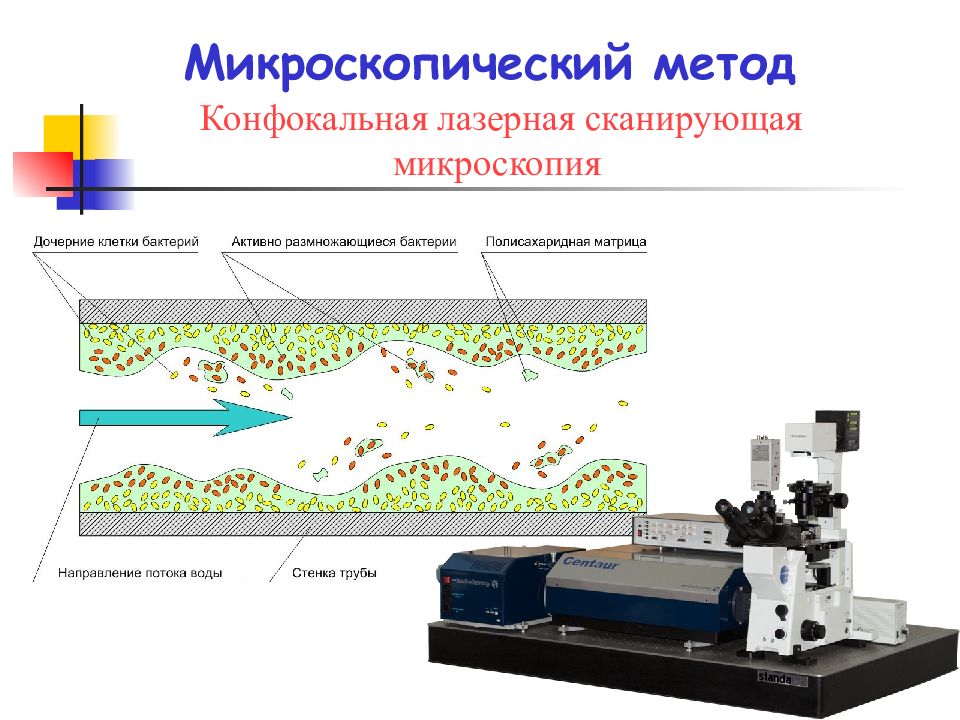 Методы сканирующей микроскопии. Лазерная сканирующая микроскопия. Лазерная конфокальная микроскопия. Конфокальная лазерная сканирующая микроскопия кожи. Эндоскопическая лазер-сканирующая конфокальная микроскопия.