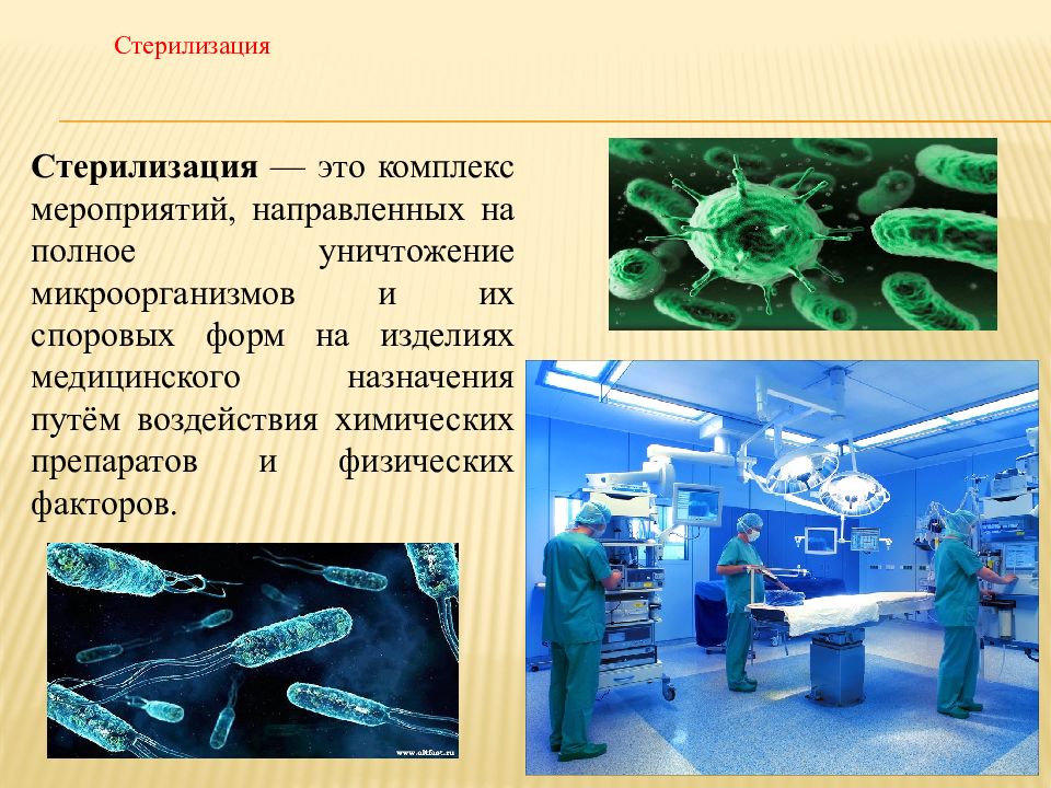 Асептика это комплекс мероприятий тест. Стерилизация это комплекс мероприятий направленных на. Стерилизация это комплекс. Стерильный. Полное уничтожение микроорганизмов и их.