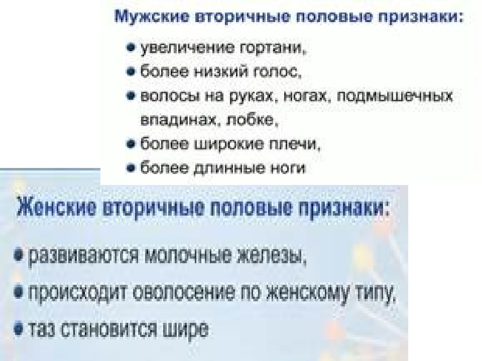 Строение и функции репродуктивной системы 8 класс презентация