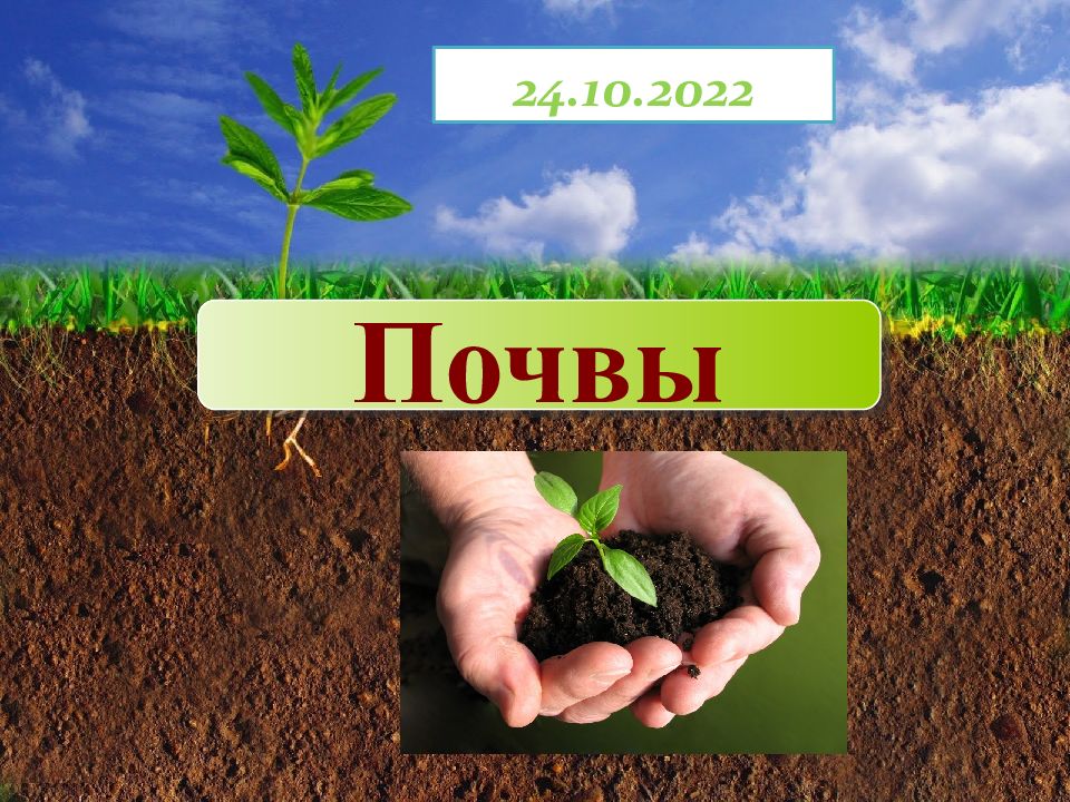 Почвы 24.10.2022