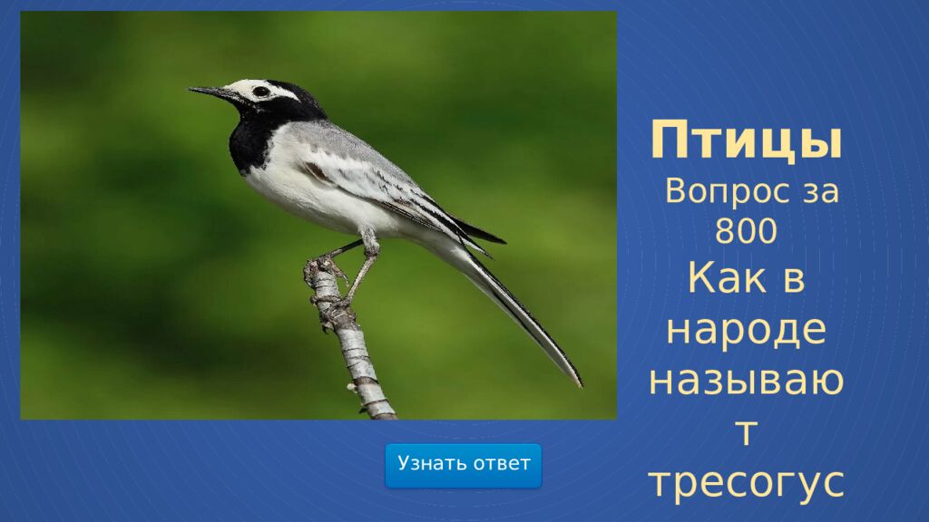 Мир весенней природы