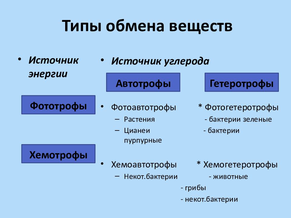 Виды обмена. Типы обмена веществ в клетке. Обмен веществ и энергии в клетке. Автотрофный и гетеротрофный Тип обмена веществ. Фотоавтотрофы источник углерода.