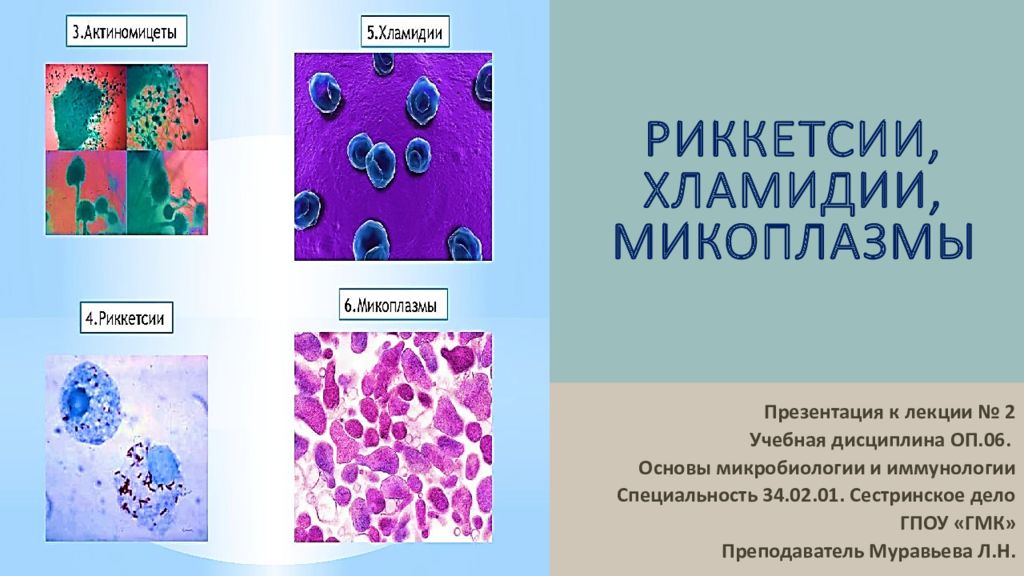 Риккетсии, хламидии, микоплазмы