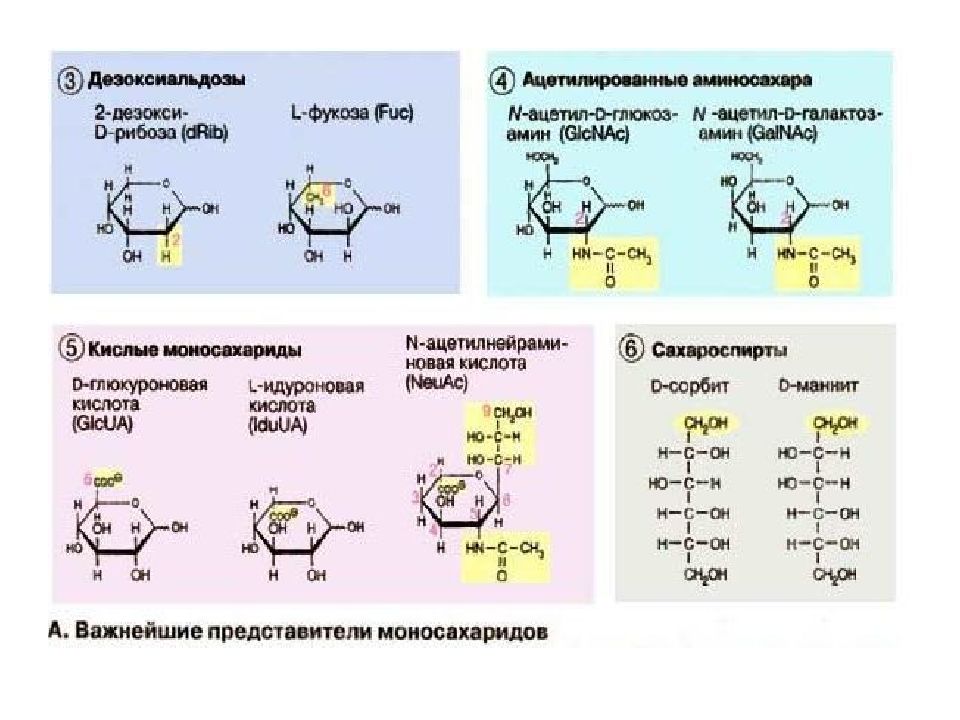 Углеводы биохимия презентация