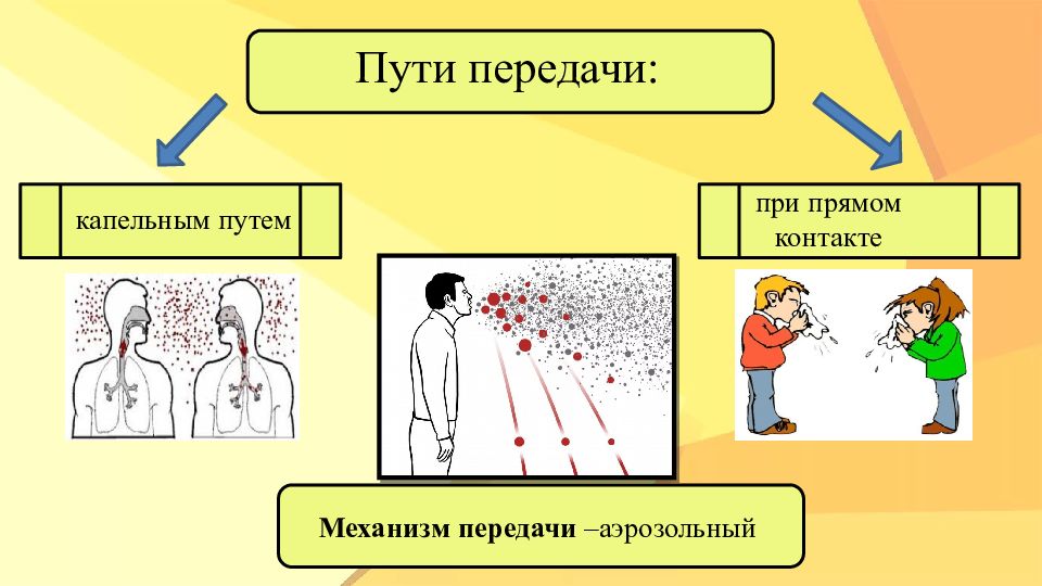 Пути передачи инфекции картинки