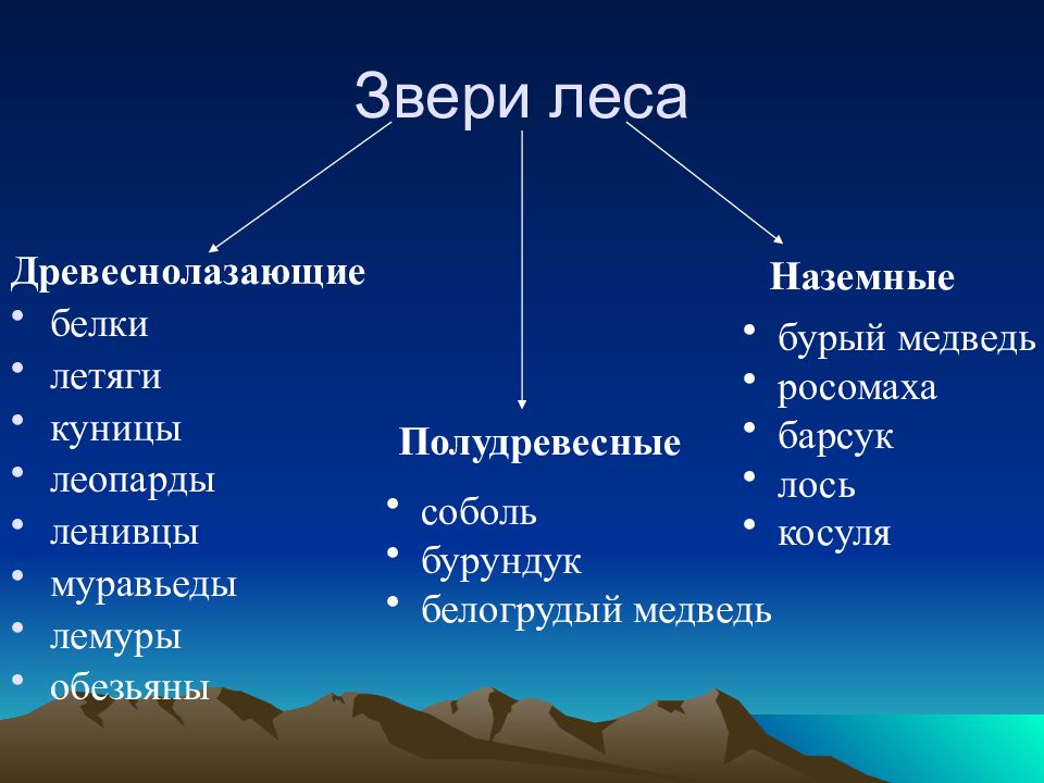 Экологические группы млекопитающих картинки