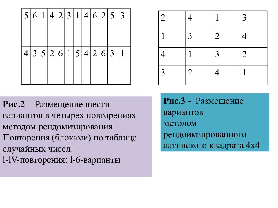 Схематический план полевого опыта