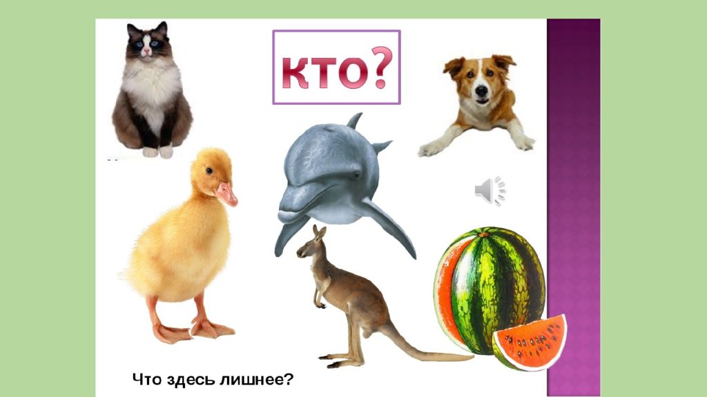 Кто что может. Картинки отвечающие на вопрос кто. Кто на картинке. Предметы отвечающие на вопрос кто. Кто это?.