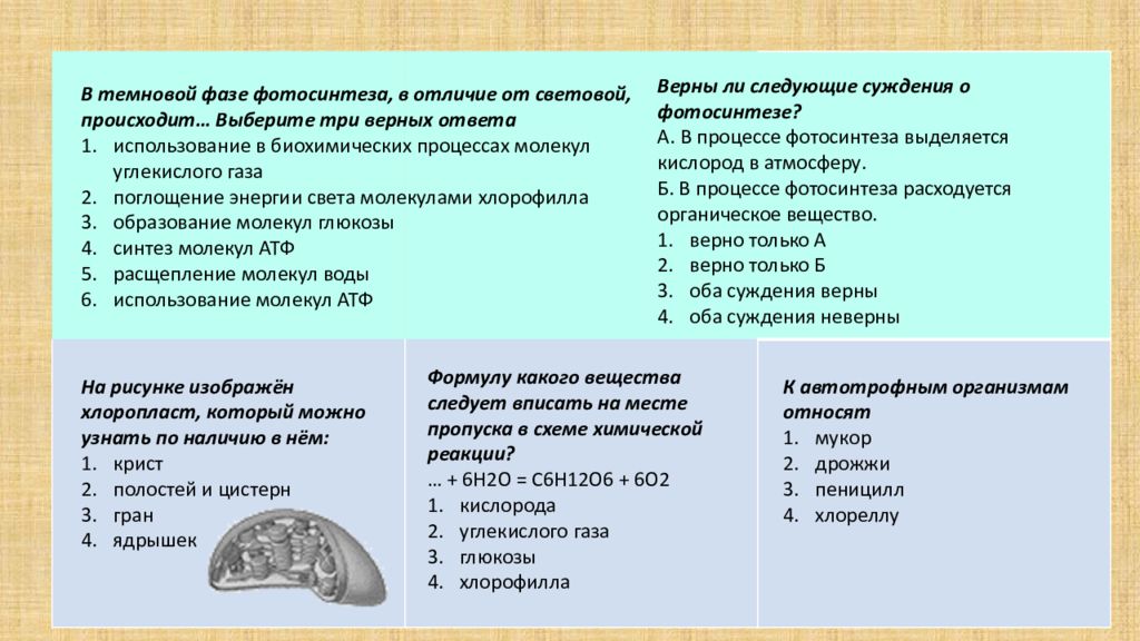 Какие процессы происходят. В световой фазе фотосинтеза, в отличие от Темновой, происходят. Темновой фазы фотосинтеза. Что происходит в Темновой фазе фотосинтеза. Выберите процессы происходящие в Темновой фазе фотосинтеза.