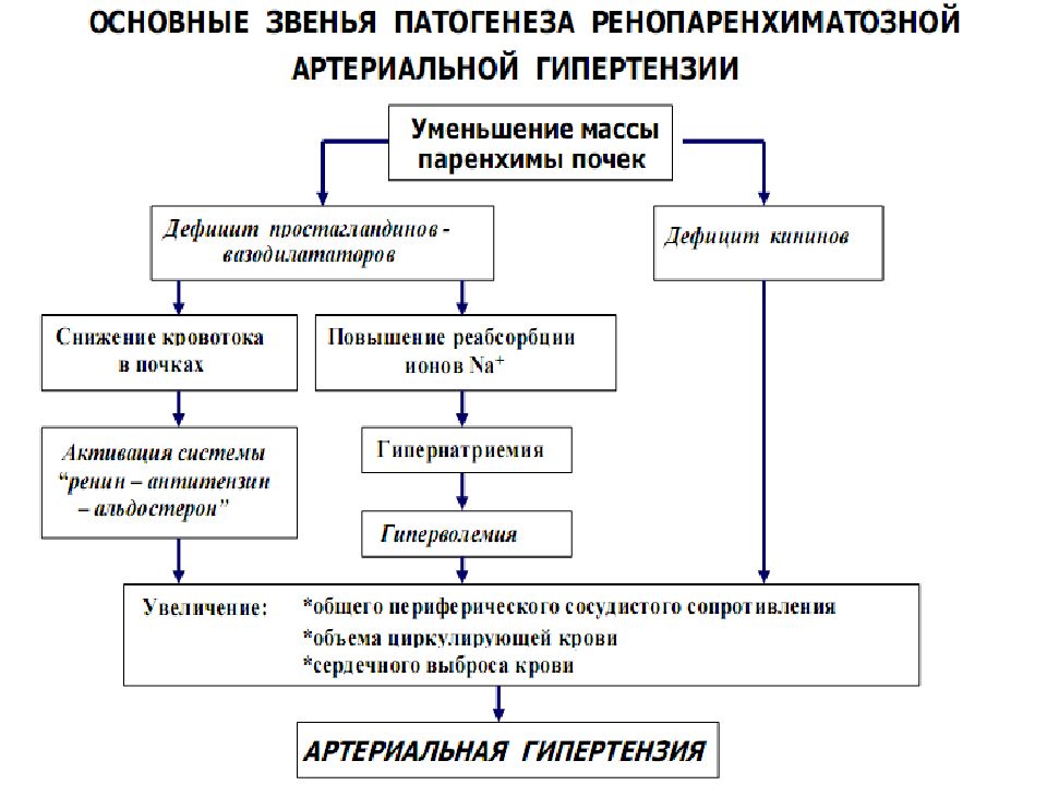 Патогенез гипертонической болезни схема